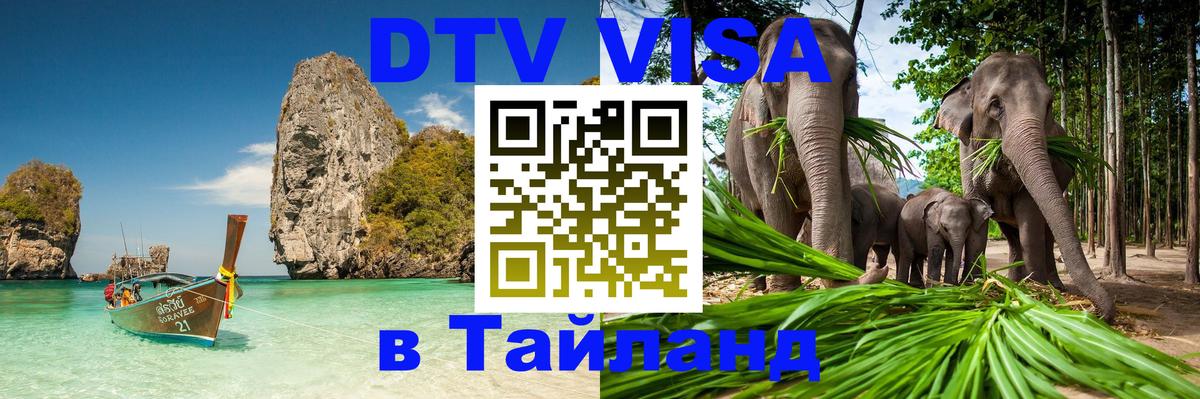 Сколько стоит DTV виза — актуальные цены, оформление даже без документов - 